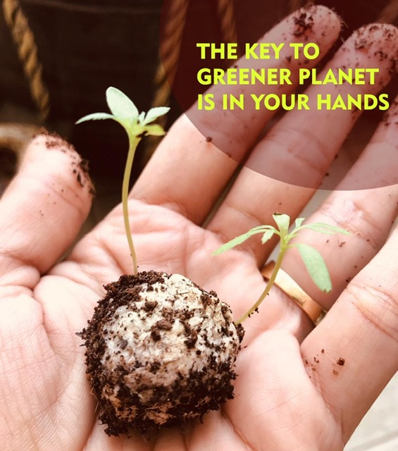 Plantable Seed Ball Stick