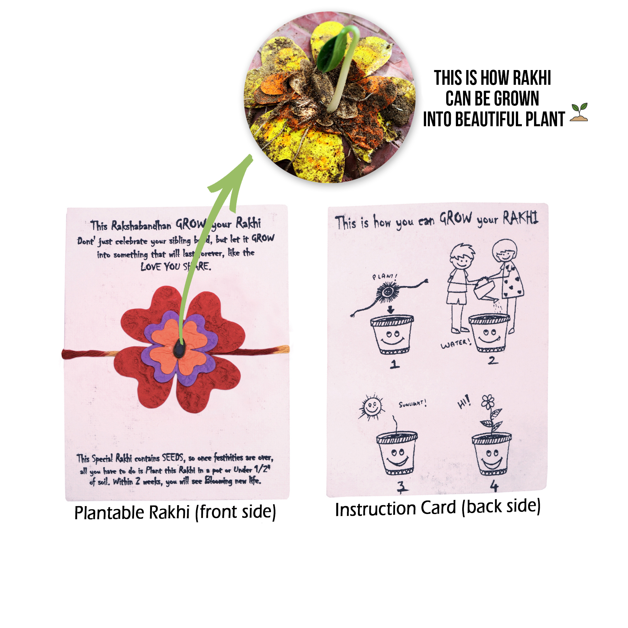  Seed RAKHI envelope