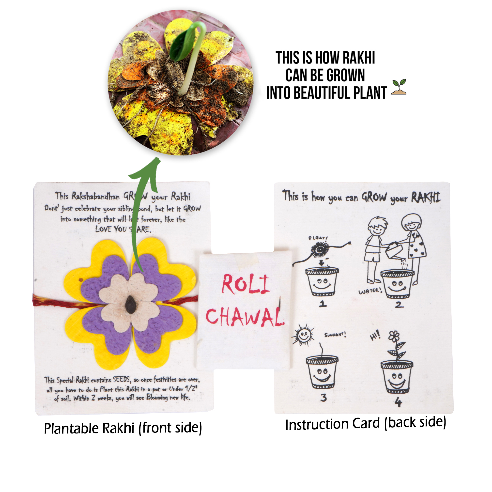 Rakhi Combo for kids-Plantable Drawing Book + Seed Pencils + Plantable Rakhi