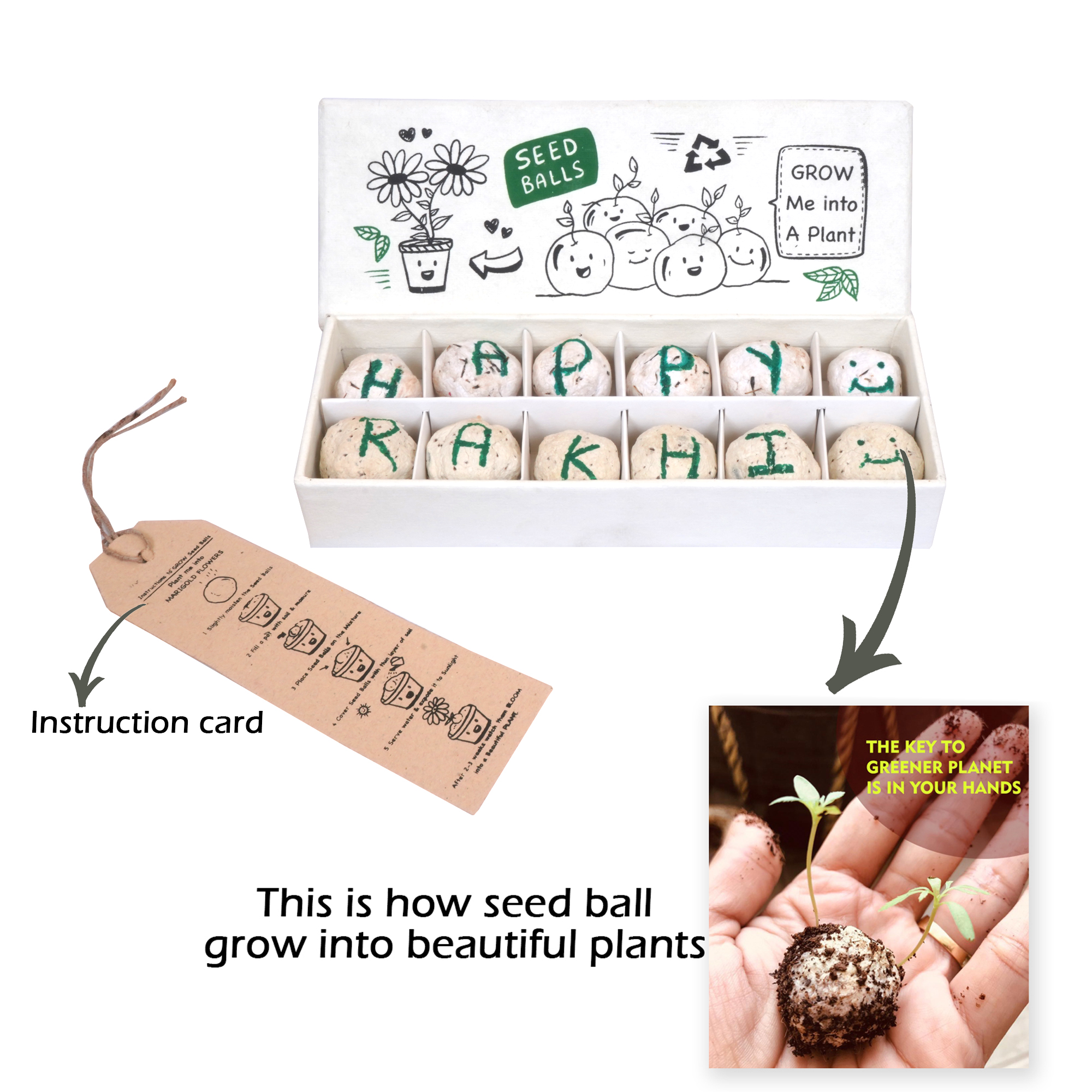  RAKHI Seed Balls Box