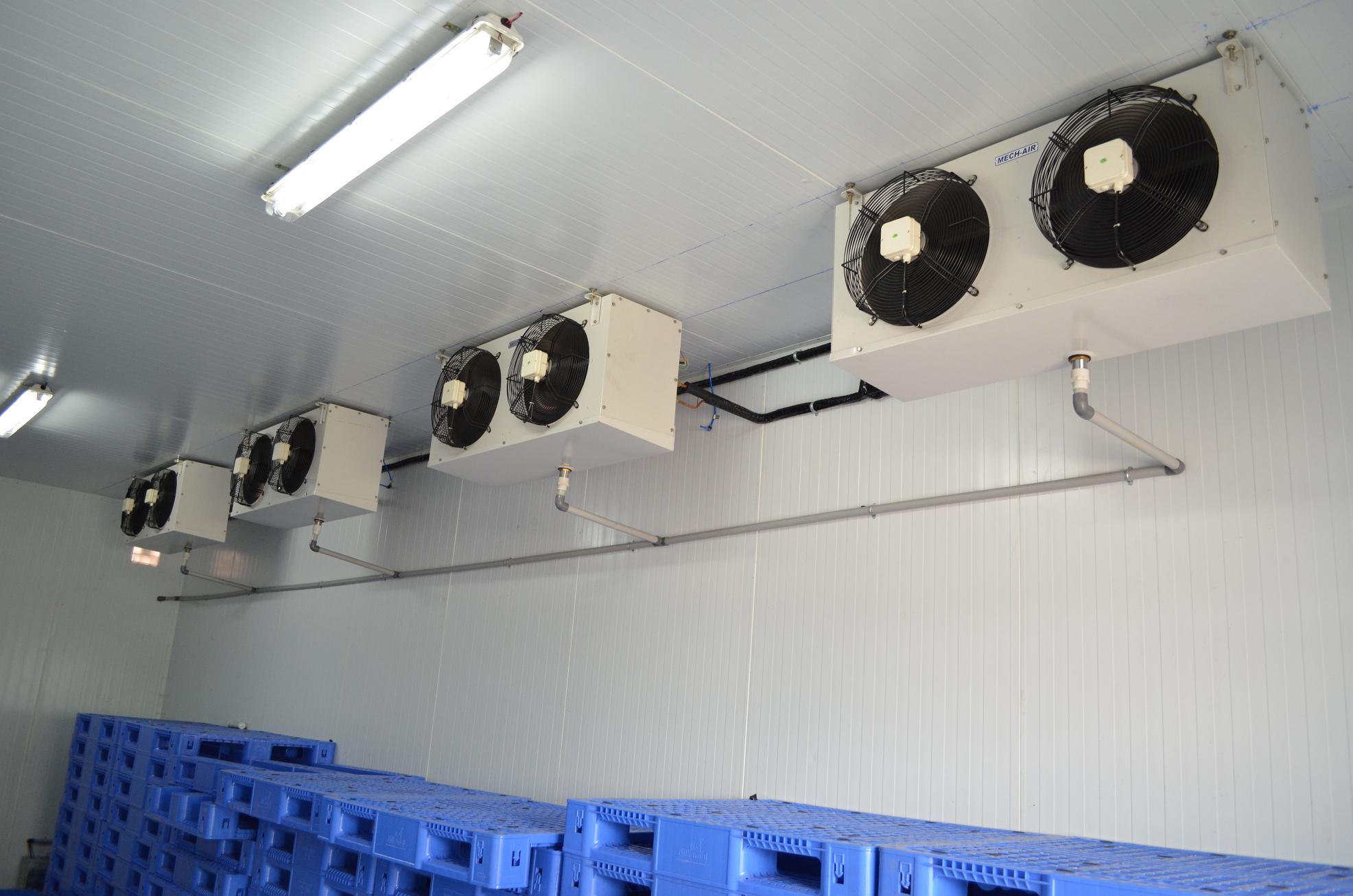 BANANA RIPENING ROOM