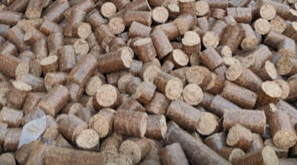 Biomass Briquette (Biocoal / Whitecoal)