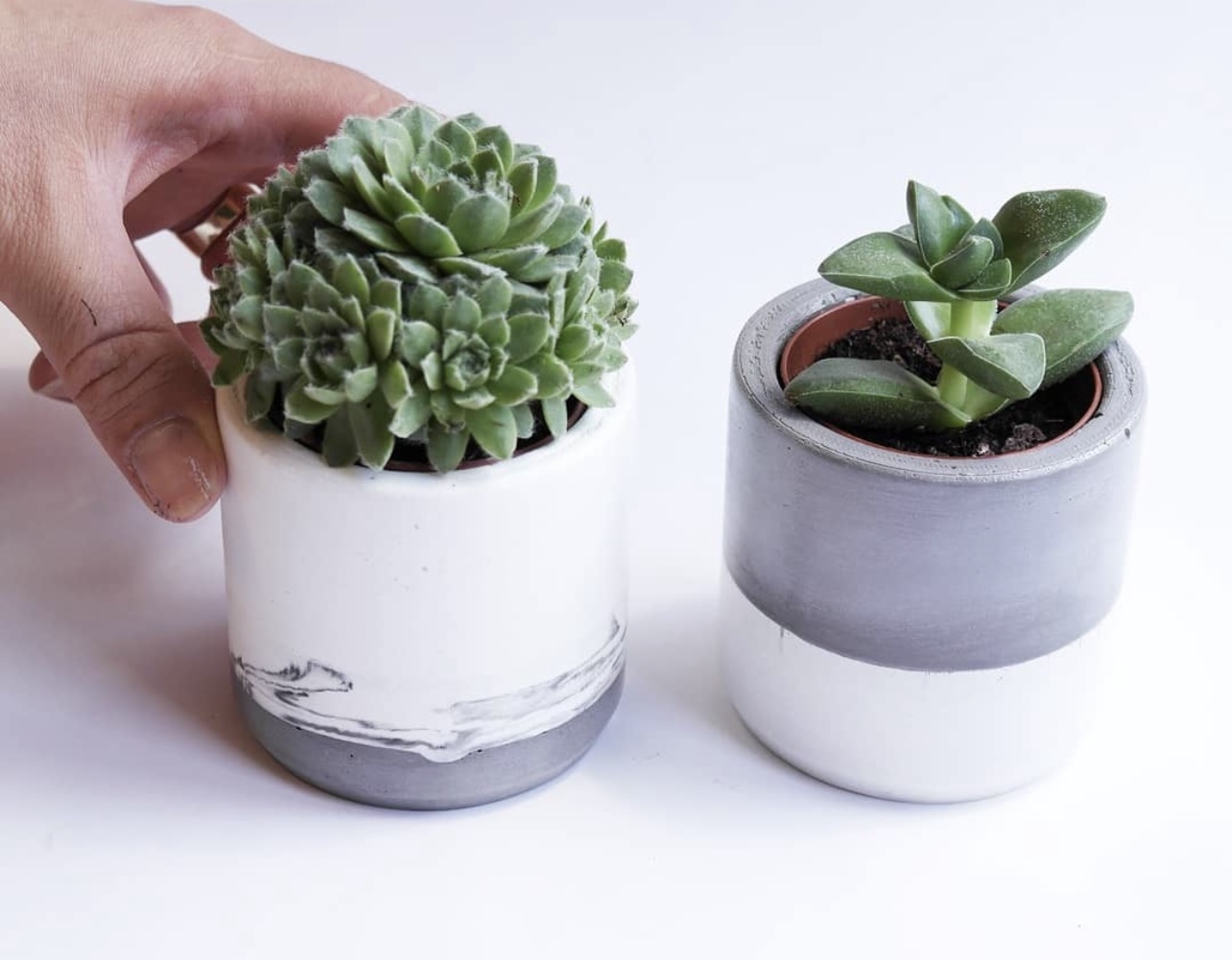 Concrete Planter 