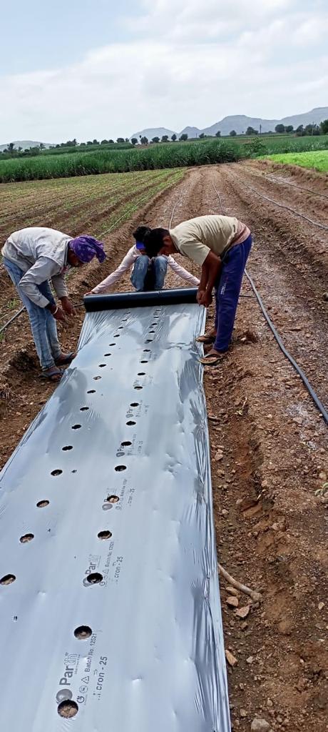 Mulching Film