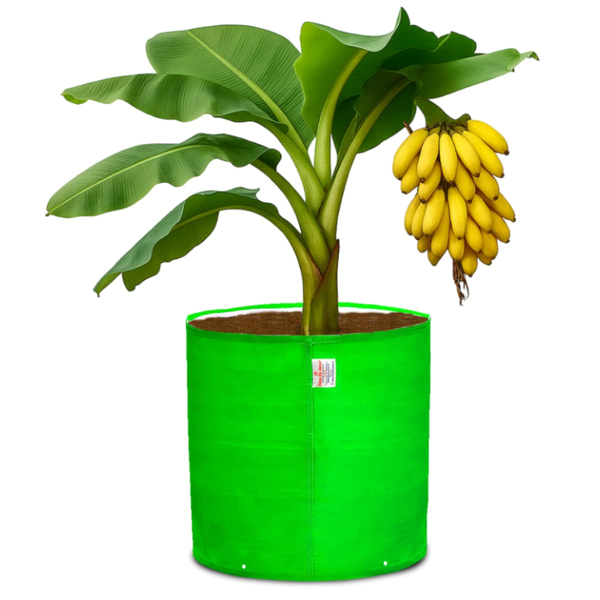 HDPE Grow Bag 24x24 Inch | 260 GSM