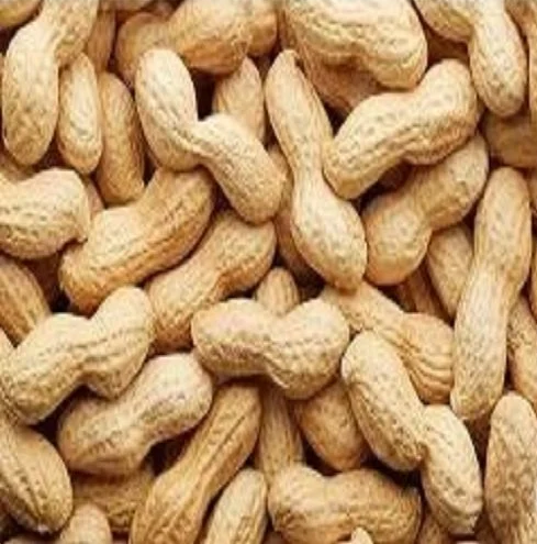 Raw Peanuts