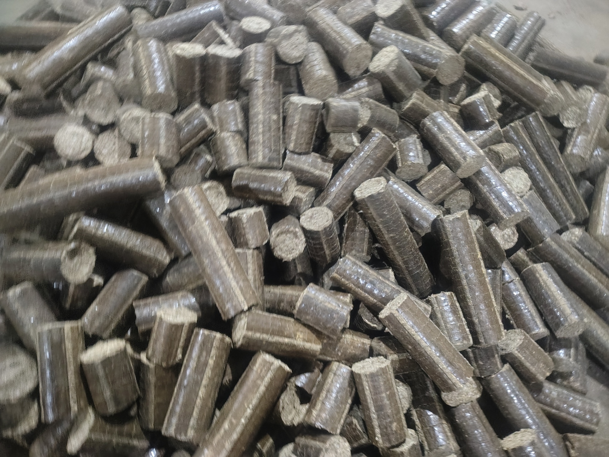 Biomass Briquettes