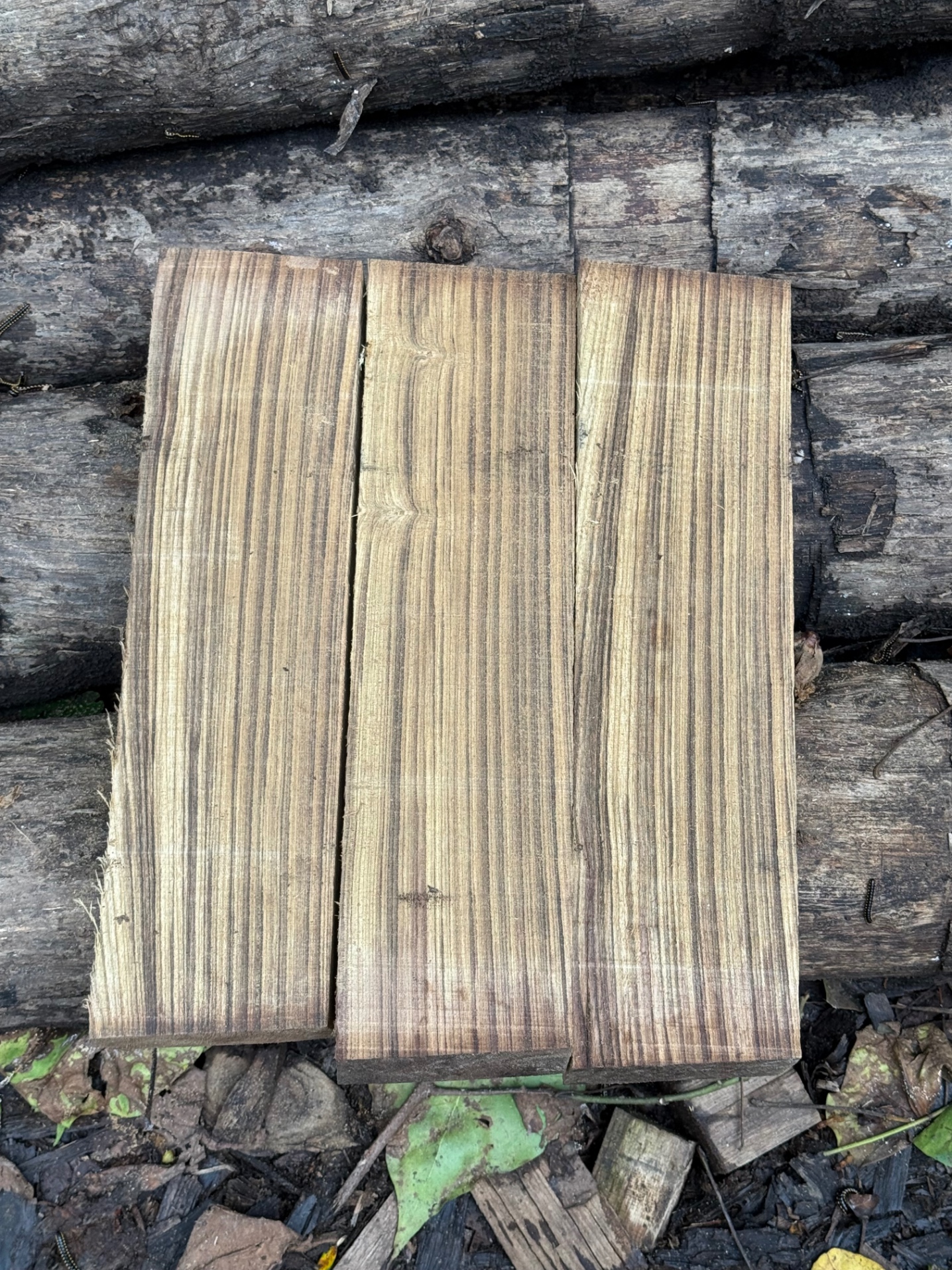 Sagwan wood