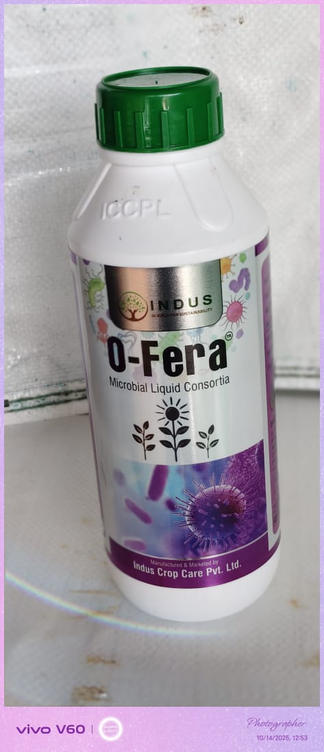 o fera 