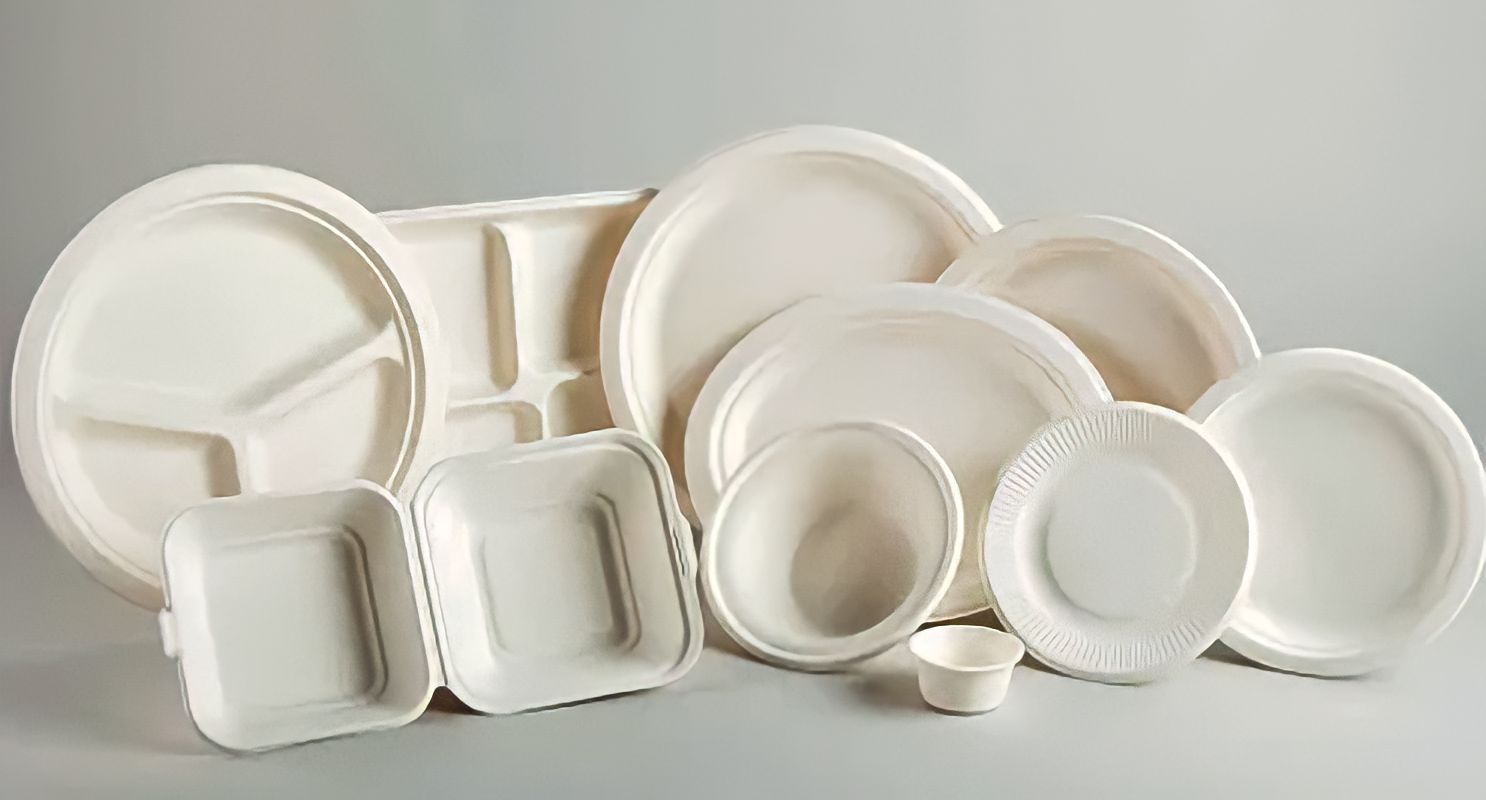 Disposables Items/ Bagasse Product