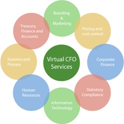 Chartered Accountant (Virtual CFO | Compliance | Advisory)