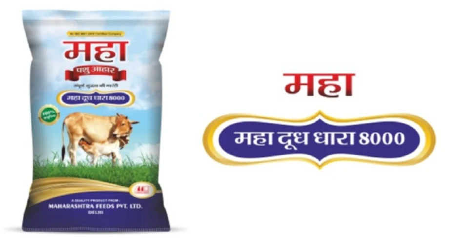 Cattle Feed