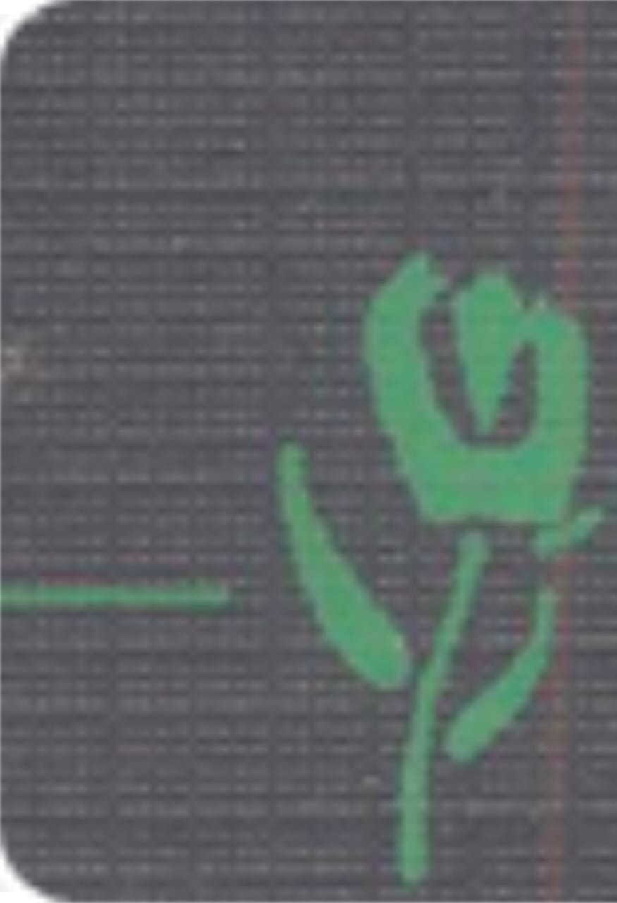 Logo Embroidery,  Laser cutting, Sequence Embroidery and Garments & textiles