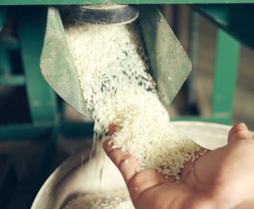 Rice mill