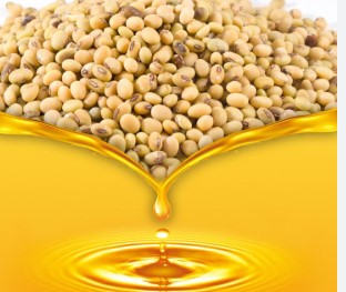 Soybean Oil 