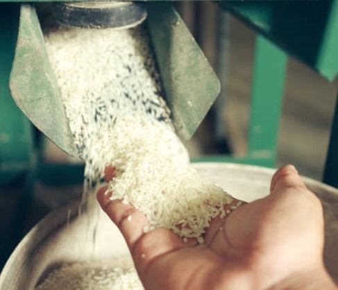 RICE MILL