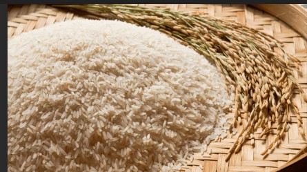 RICE MILL