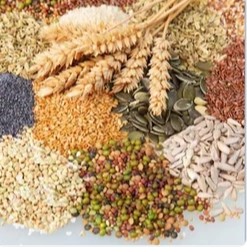 Cereals & Food Grains
