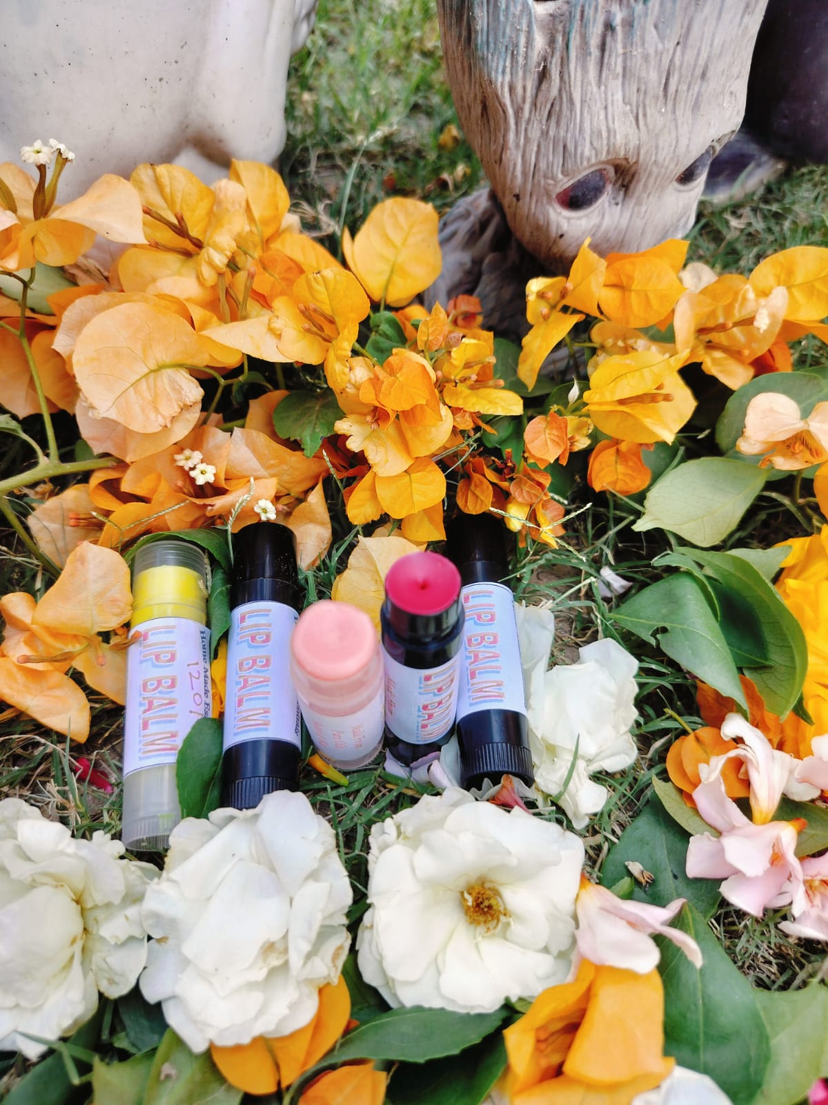 Tinted Lip Balm