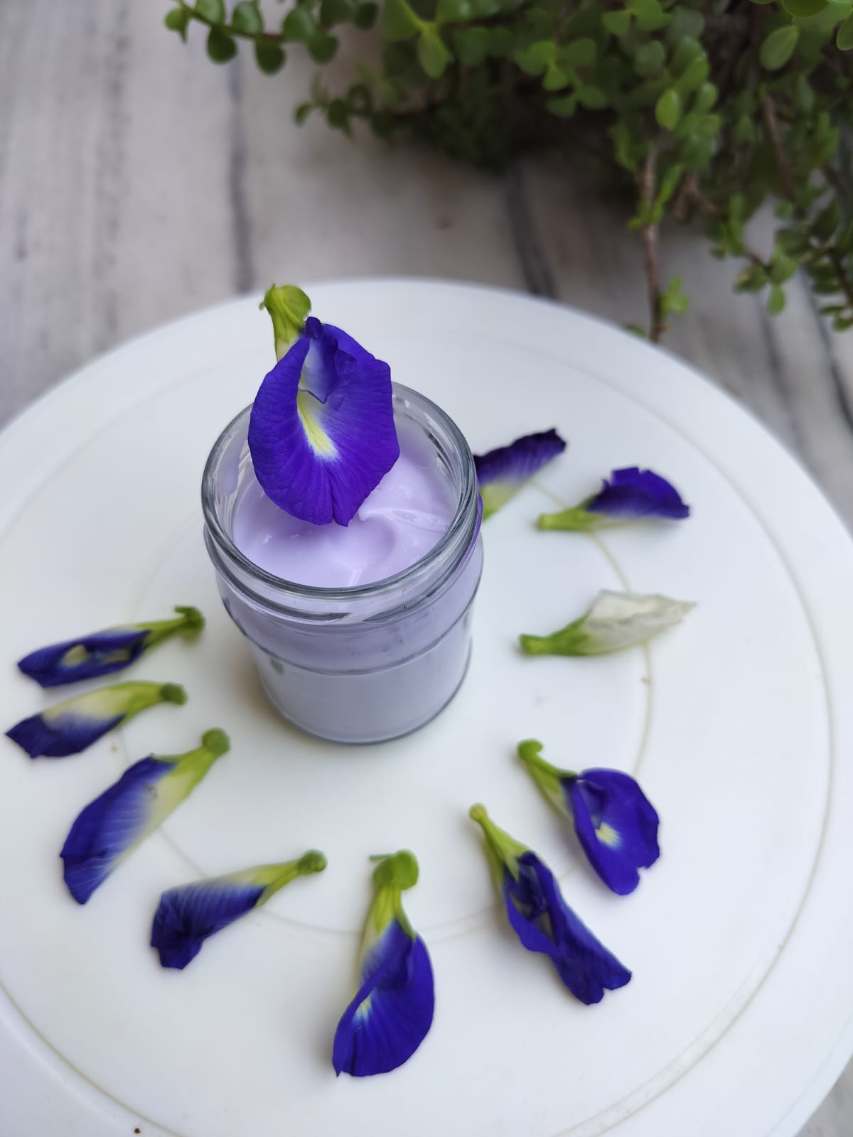 Face Cream