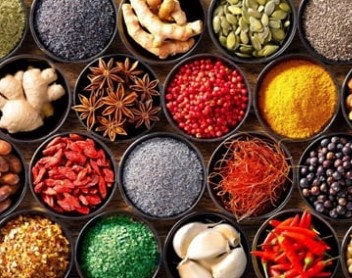 Herbal Extracts, Seasonings, Dried Organic food powders, Dried Vegetables