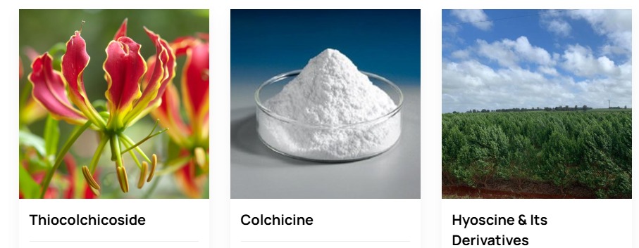 Active Pharmaceutical Ingredients