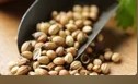 mustard seeds & other products