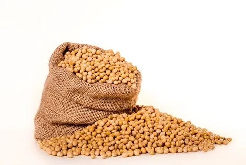Seeds