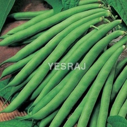 French beans, frozen beans, frozen green peas etc