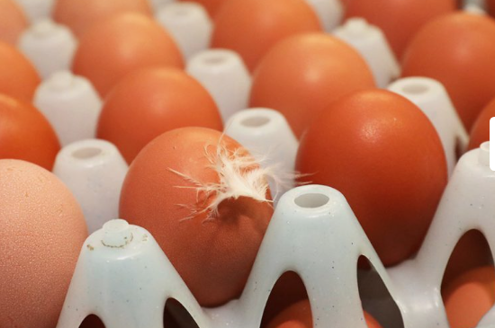 Brown Poulrty Eggs