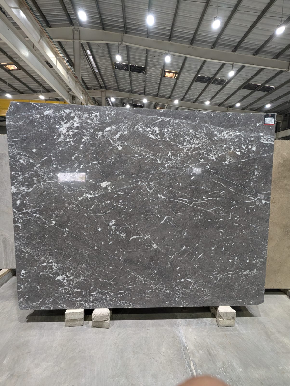 SHAMPION GREY 