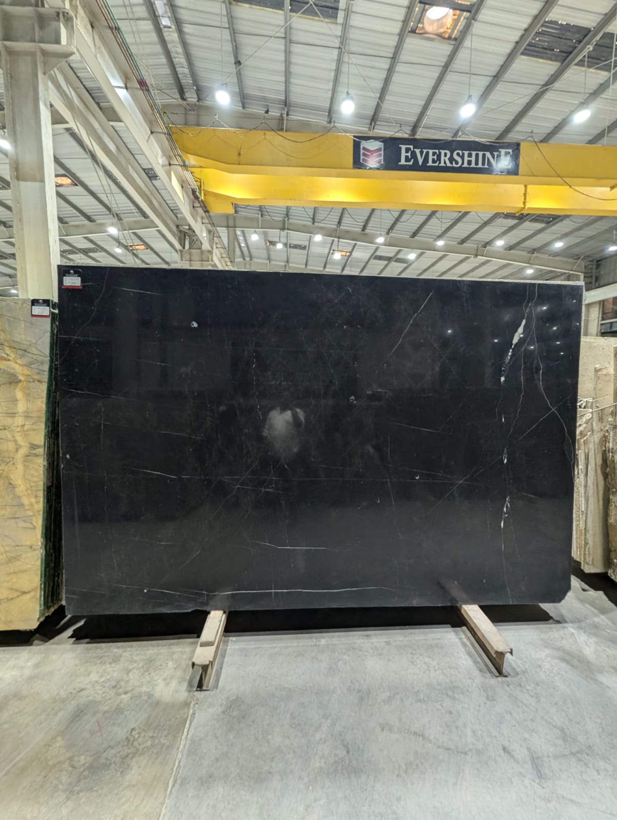 BELGIUM BLACK