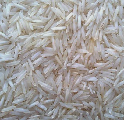 Sambha Mansuri Rice