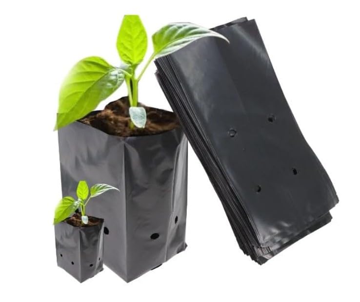 Nursery Bags