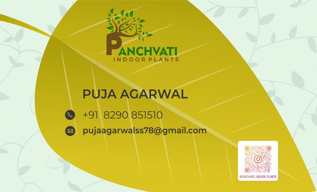 Panchwati Plantion