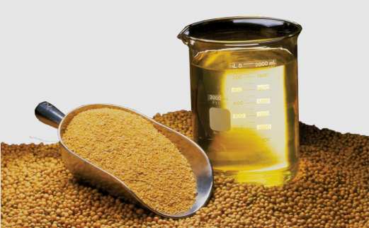 Soya Deoiled Meals