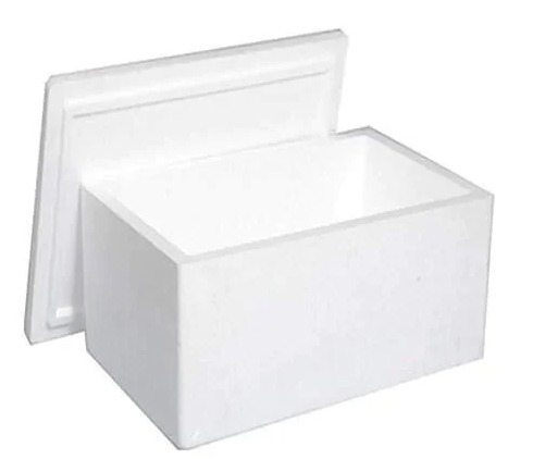 Thermocol Ice Box