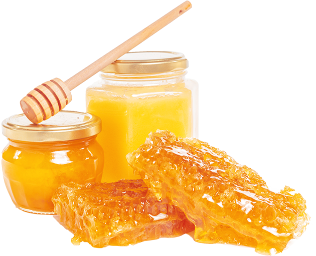 Natural Honey / Edible Honey / Pure Honey