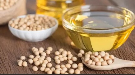 Kia dealership and Mfg of soyabean oil(solvent plant)