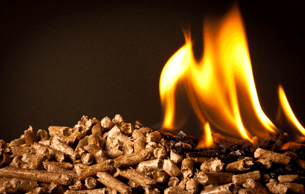 BIOMASS PELLETS & BIOMASS BRIQUETTES 
