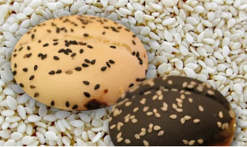 sesame seeds & other products 