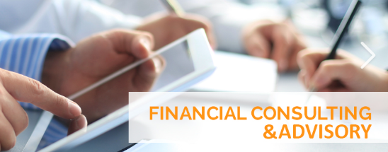 chartered accountancy and financial consulting firm 
