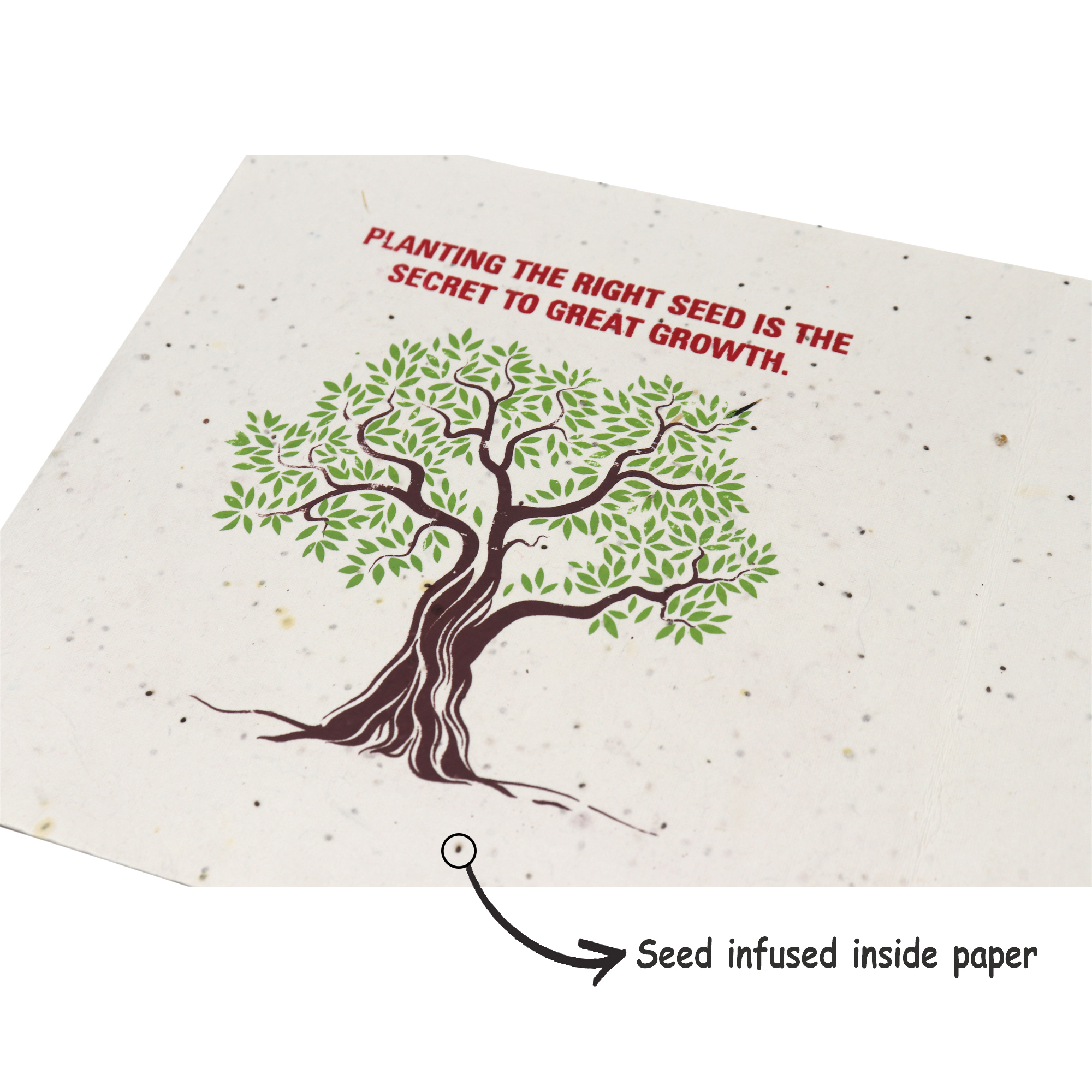 Sustainabile Gift