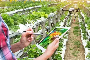 Agritech & AI-Based Quality Assessment Solutions