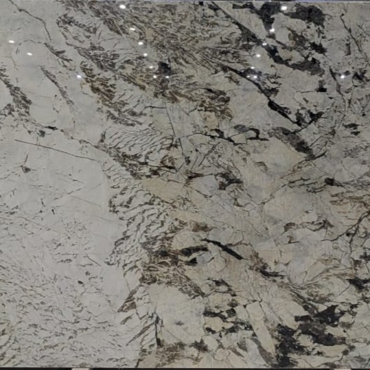 INFINITY EXOTIC QUARTZITE
