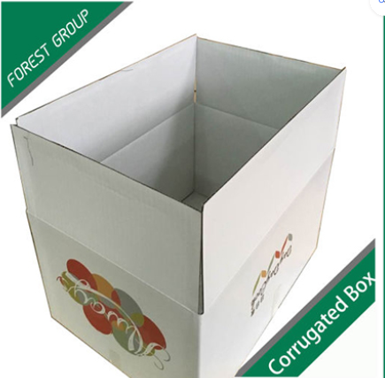 packaging boxes, duplex boxes, pizza packaging boxes etc