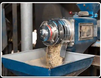 Agro Processing Industry / Rice Mill & Grain Processing