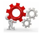  consultancy and IT services to clients. 
