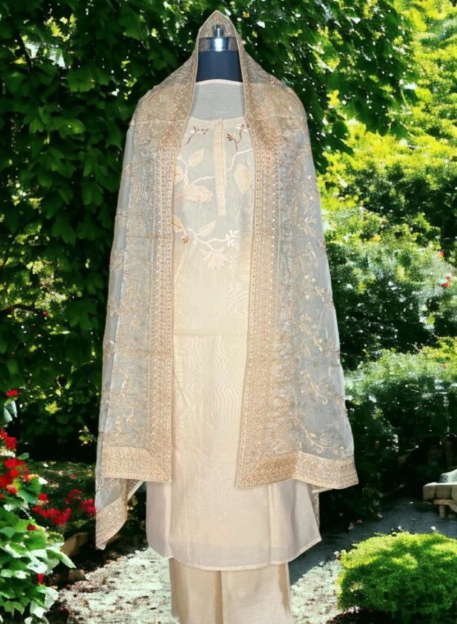 Banarasi Chanderi Silk Suit