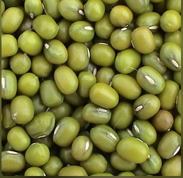 Pulse Products such as Moong Dal, Chawli Dal, Moong Dal Mogar, Moong Polished Dal and Mot Monger.